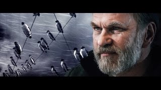 Алексей Гуськов (Aleksei Guskov) - Пингвин нашего времени. Официальный трейлер.