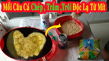 Mồi Câu Cá Chép ,Trắm Trôi Độc Lạ Từ Mít