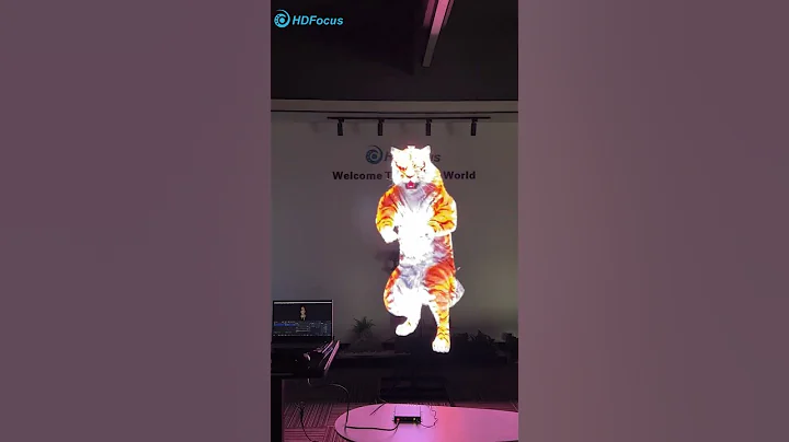 1*3 HDMI Hologram Fan Splicing Solution #hdfocus