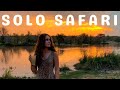 My solo safari  selfdrive kruger national park vlog  big 5 sightings