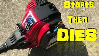 4 CYCLE Gas Trimmer Starts and Immediately Dies, Troy Bilt Revival
