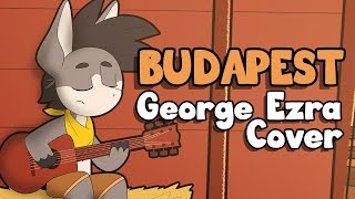 Video thumbnail of "Budapest (George Ezra Cover) - Sheriff Hayseed"