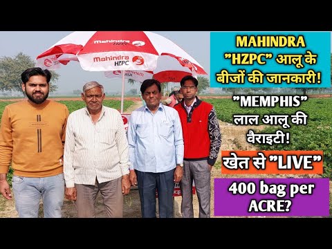 1 एकड़ में 400 कट्टे की पैदावार?