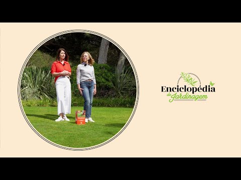 Problemas dos relvados: Enciclopédia de Jardinagem #20