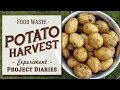 ★ Food Waste: Potato Harvest (Experiment)