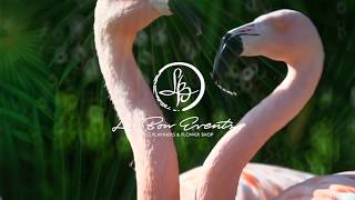Le Bon Event's - Kempinski AlOthman Hotel