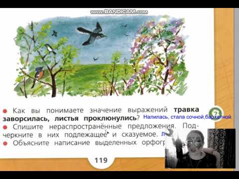 страницы 117 120, Упражнения 196 203, Предложение Слово, учебник Канакина, 2 класс, 2 часть