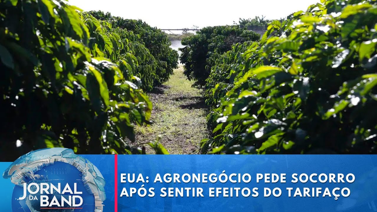 Agronegócio dos Estados Unidos pede socorro após sentir efeitos do tarifaço | Jornal da Band