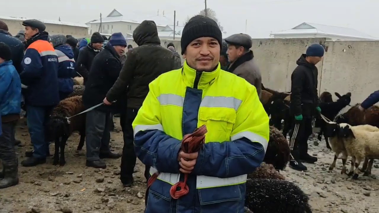 НООКЕН МАСЫ.ДУДУК СООДАГЕР 👍