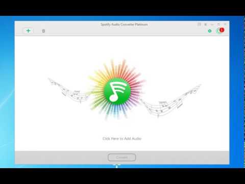 How to Play Spotify music on Windows Media Player