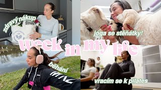 PRODUKTIVNÍ DNY PO DOVOLENÉ! 👩🏽‍💻🏃🏼‍♀️🎀 | WEEK IN MY LIFE VLOG