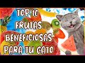 TOP 10 FRUTAS BENEFICIOSAS PARA TU GATO - SiamCatChannel