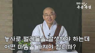 [법륜스님의 즉문즉설 제 1675회] 농사로 벌레들을 살생해야 하는데 어떤 마음을 가져야 합니까?