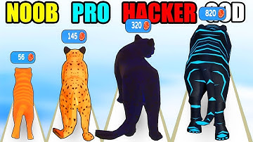 NOOB vs PRO vs HACKER vs GOD Cat Evolution