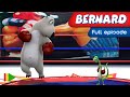 BERNARD BEAR 55 BOXING Full Episode