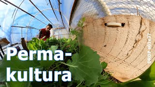 Perma-  kultura by i27.tv 30 views 2 months ago 19 minutes