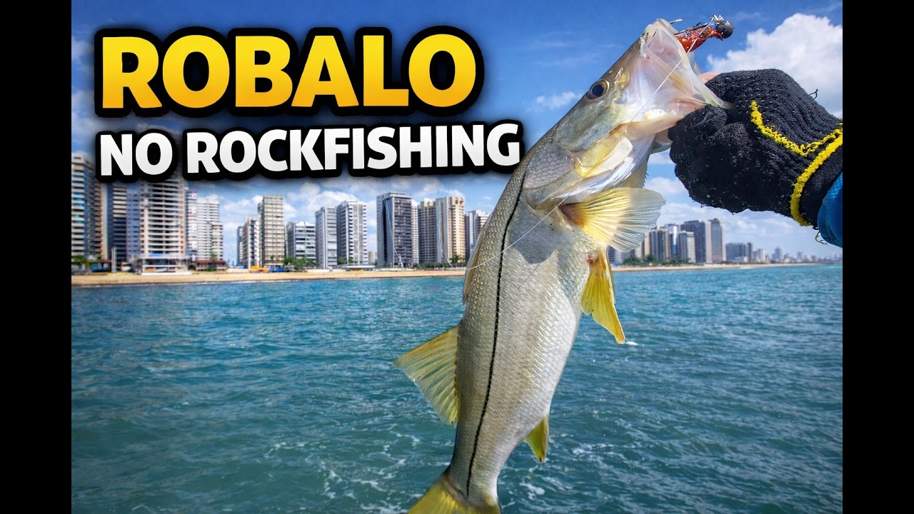 Pescaria de Robalo no Rockfishing | Testando Camarão BG  🐟🔥