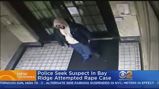 Police Seek Suspect In Bay Ridge Attempted Rape Case