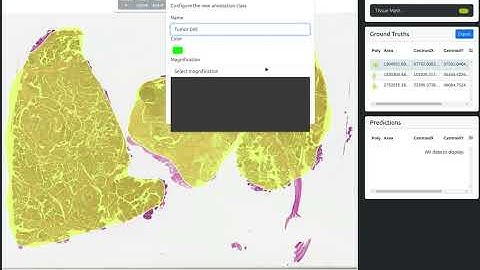 QuickAnnotator: Create an Annotation Class