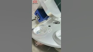 Portuguese egg tart production line