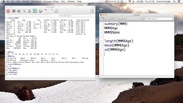 2.2 Basic statistics in R