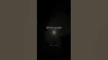 سورة يونس     المنشاوي  محمد صديق المنشاوي  القران الكريم