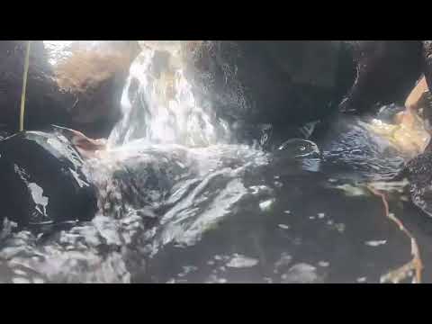 PURE WATER SPLASH SOUNDS IN NATURE FOR HEALING AND CALM