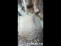 водонасыщенный песок