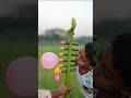 ​How to Make a Unique Bamboo Balloon Toy with Coconut Bark