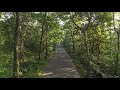 Barvi Jungle