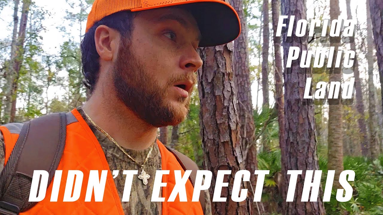 Whitetail Scouting Florida Public Land Went Sideways in a HURRY