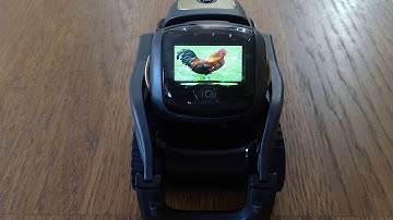 Anki Vector Farm Animals SDK