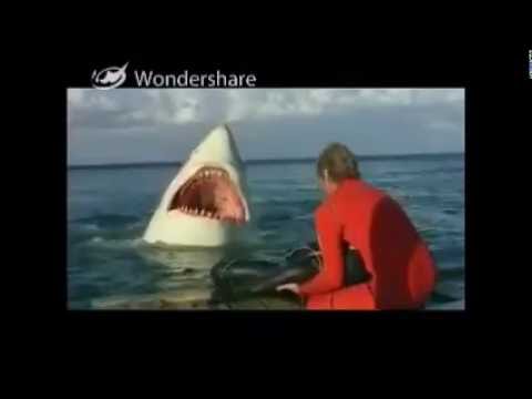 The Last Shark Death with Jaws Music
