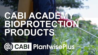 CABI Academy: Introduction to Bioprotection Products course, microbial bioprotection products