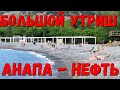 #АНАПА. БОЛЬШОЙ УТРИШ - НЕФТЬ ТАЧКАМИ ВЫВОЗИМ... SOS Мертвый дельфин