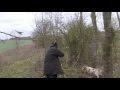 Chasse au lapin à la botte - Somme France - Rabbit upland hunting