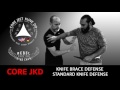 Core JKD Knife Brace Defense Video 