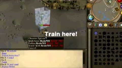 New Runescape Private Server xBriddingscape 317 [Need Staff and Players!]