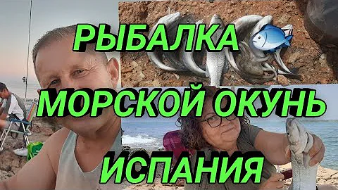 🇪🇦 РЫБАЛКА МОРСКОЙ ОКУНЬ И ДОРАДА В ИСПАНИИ/PESCA DE LUBINA Y DORADA EN ESPAÑA !