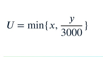 Hoe de leontief-utiliteitsfunctie Max U=min {x, y/300} op te lossen
