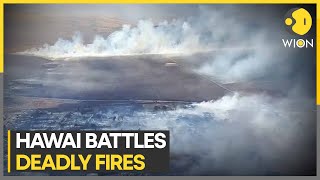 Hawai wildfires: More than 14,000 people relocated from Maui, death toll rises to 53 | WION