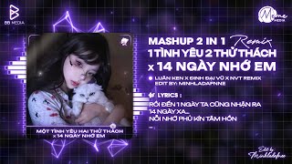 Mashup Một Tình Yêu Hai Thử Thách x 14 Ngày Nhớ Em (Hot TikTok) - Luân Ken x Đinh Đại Vũ x NVT Remix