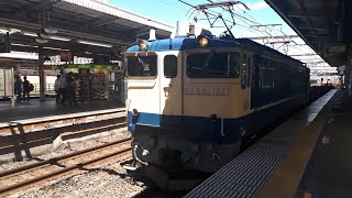 【新津工臨返空】工9774レ EF65形1102号機 チキ12両 大宮駅 通過シーン
