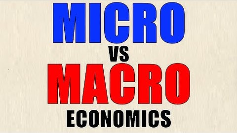 The Difference Between Micro and Macro Economics | Think Econ