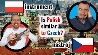 Polish Czech Conversation | Instruments | Slavic Languages Comparison