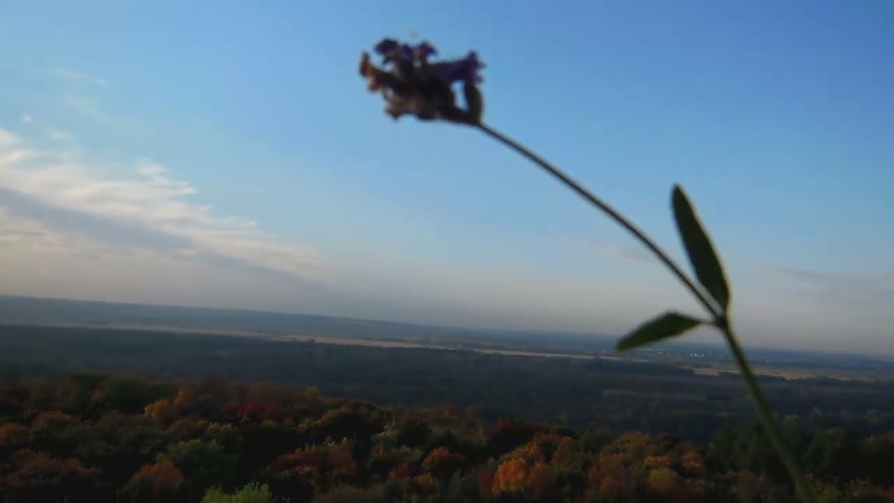 город уфа осень 2022 вид на реку и лем.такая красота природы. на закате ...