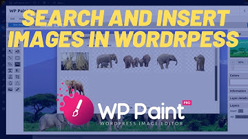 Search and Insert Images in WordPress using WP Paint Pro (2nd Video)