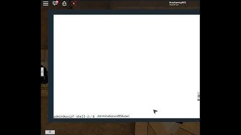 Codes for Proto Haxr 7.62 After the flash