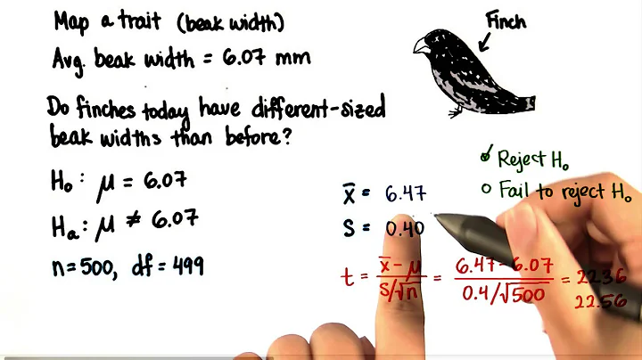 Finches - Decision - Intro to Inferential Statistics - DayDayNews