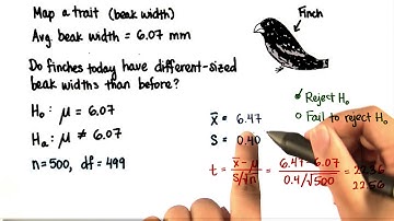 Finches - Decision - Intro to Inferential Statistics